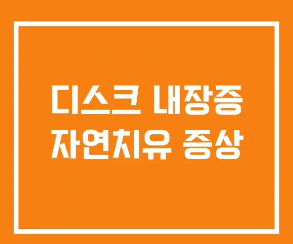 디스크 내장증 자연치유 증상
