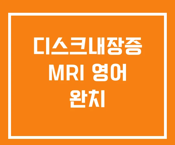 디스크내장증 MRI 영어 완치