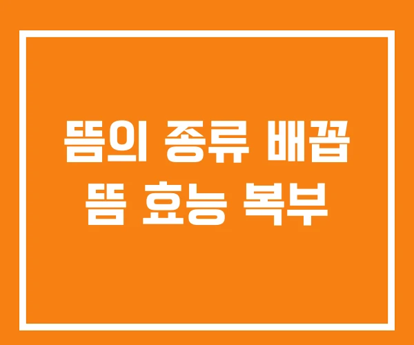 뜸의 종류 배꼽 뜸 효능 복부