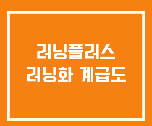 러닝플러스 러닝화 계급도