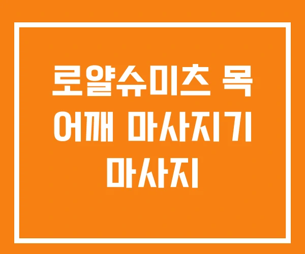 로얄슈미츠 목 어깨 마사지기 마사지