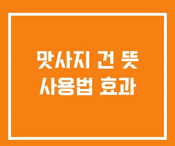 맛사지 건 뜻 사용법 효과