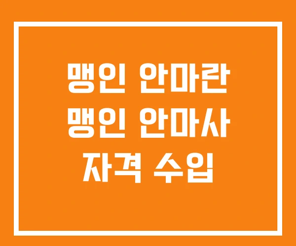 맹인 안마란 맹인 안마사 자격 수입