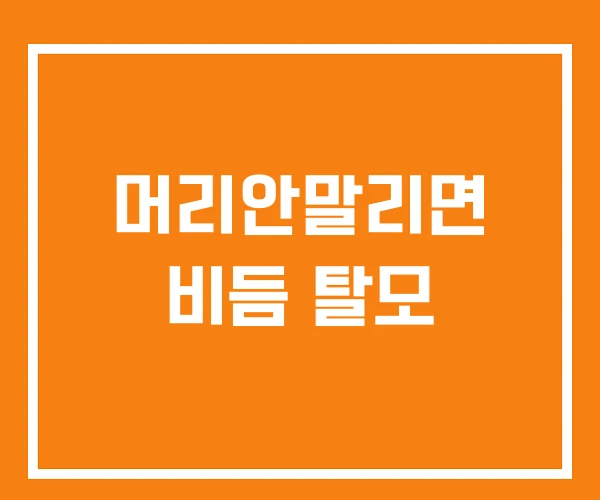 머리안말리면 비듬 탈모 머리안말리면 비듬 탈모