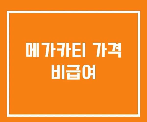 메가카티 가격 비급여