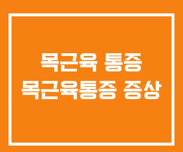 목근육 통증 목근육통증 증상