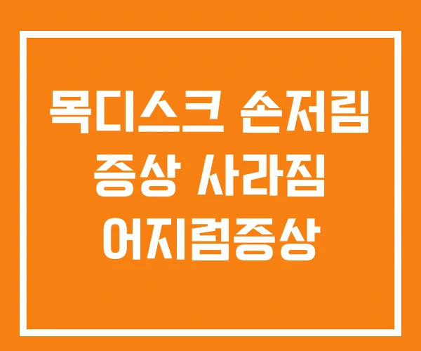목디스크 손저림 증상 사라짐 어지럼증상 목디스크 손저림 증상 사라짐 어지럼증상