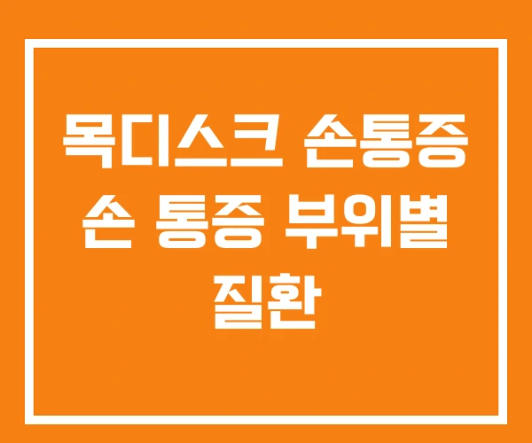 목디스크 손통증 손 통증 부위별 질환 목디스크 손통증 손 통증 부위별 질환