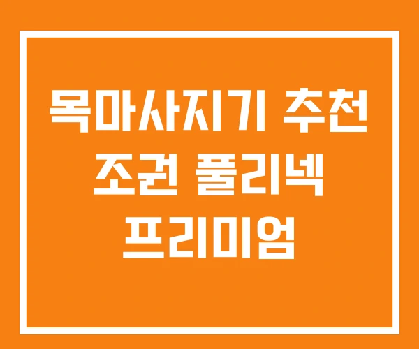 목마사지기 추천 조권 풀리넥 프리미엄