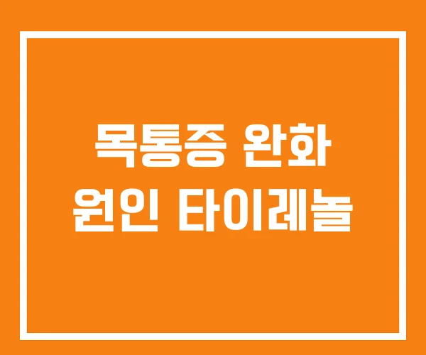 목통증 완화 원인 타이레놀