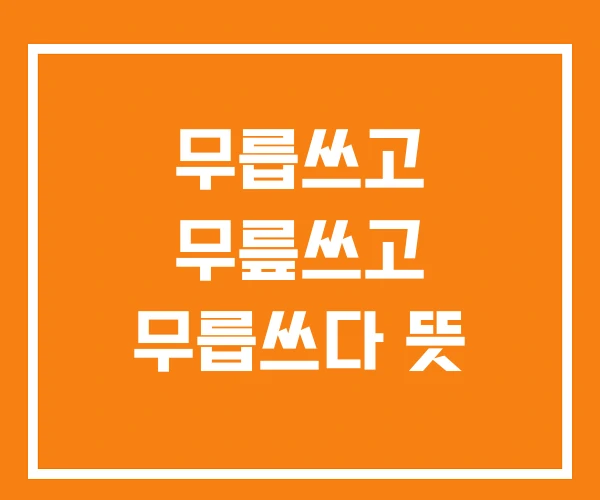 무릅쓰고 무릎쓰고 무릅쓰다 뜻 무릅쓰고 무릎쓰고 무릅쓰다 뜻
