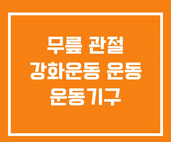 무릎 관절 강화운동 운동 운동기구 무릎 관절 강화운동 운동 운동기구