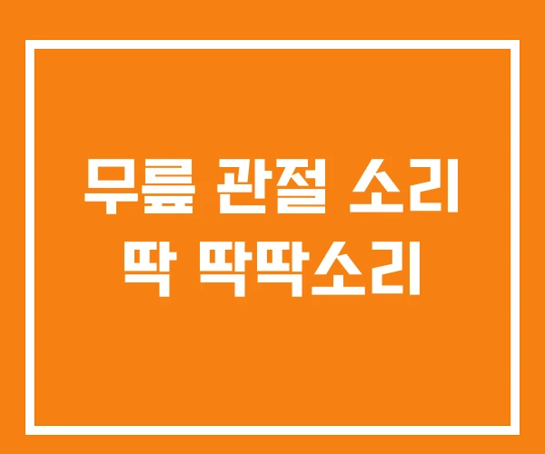 무릎 관절 소리 딱 딱딱소리 무릎 관절 소리 딱 딱딱소리