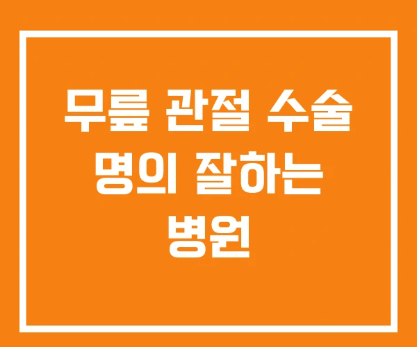 무릎 관절 수술 명의 잘하는 병원 무릎 관절 수술 명의 잘하는 병원