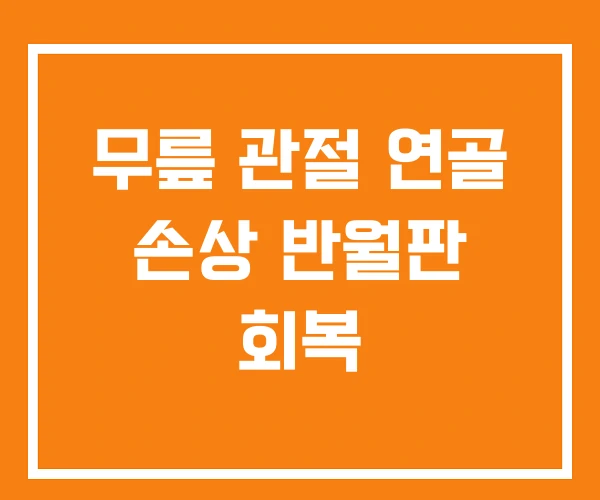 무릎 관절 연골 손상 반월판 회복 무릎 관절 연골 손상 반월판 회복