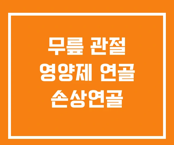 무릎 관절 영양제 연골 손상연골 무릎 관절 영양제 연골 손상연골