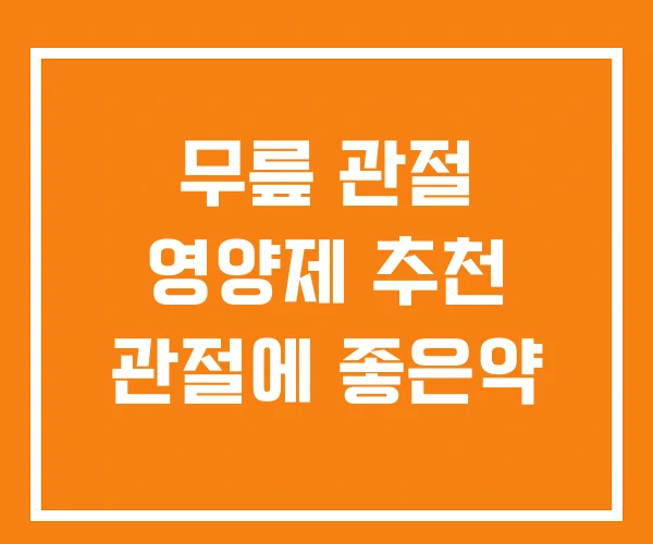 무릎 관절 영양제 추천 관절에 좋은약