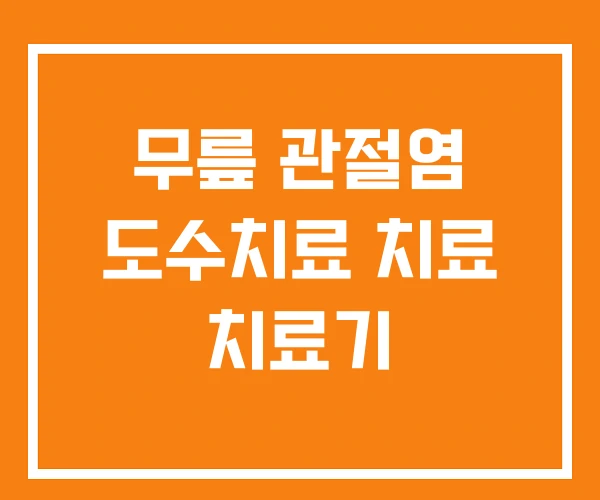 무릎 관절염 도수치료 치료 치료기