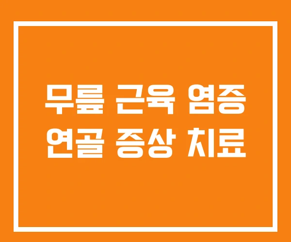 무릎 근육 염증 연골 증상 치료