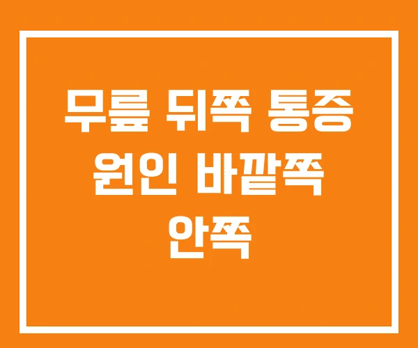 무릎 뒤쪽 통증 원인 바깥쪽 안쪽