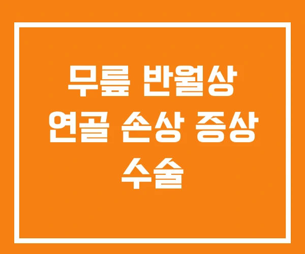 무릎 반월상 연골 손상 증상 수술 무릎 반월상 연골 손상 증상 수술