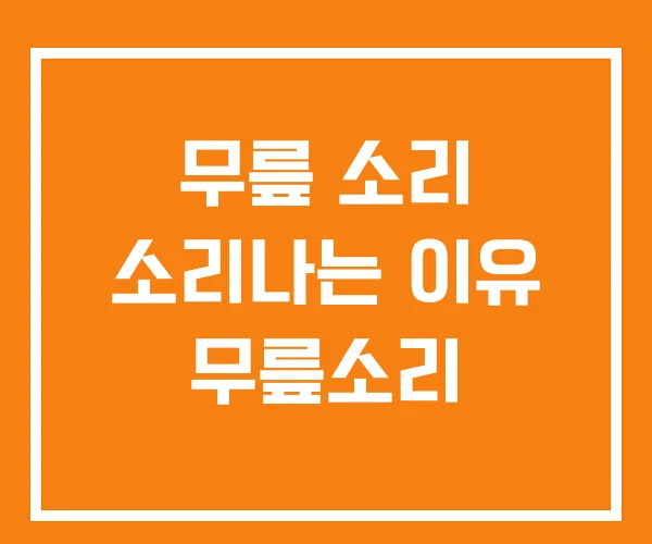 무릎 소리 소리나는 이유 무릎소리 무릎 소리 소리나는 이유 무릎소리