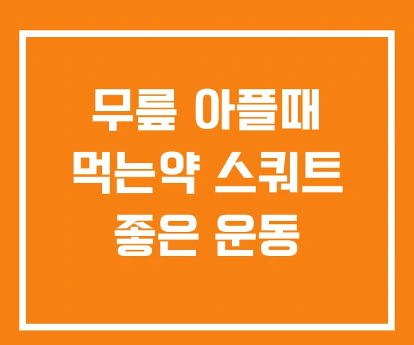 무릎 아플때 먹는약 스쿼트 좋은 운동 무릎 아플때 먹는약 스쿼트 좋은 운동