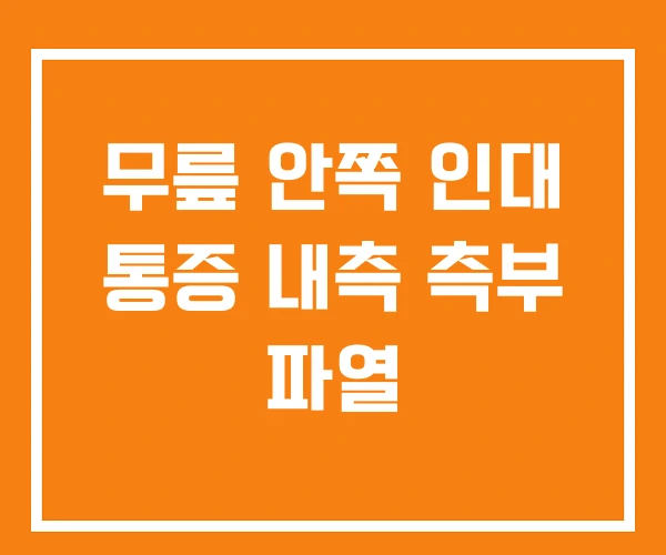 무릎 안쪽 인대 통증 내측 측부 파열