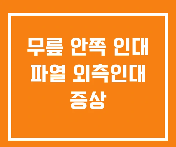 무릎 안쪽 인대 파열 외측인대 증상