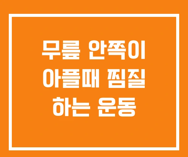 무릎 안쪽이 아플때 찜질 하는 운동 무릎 안쪽이 아플때 찜질 하는 운동