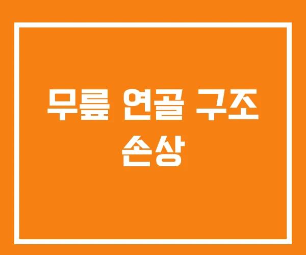 무릎 연골 구조 손상 무릎 연골 구조 손상