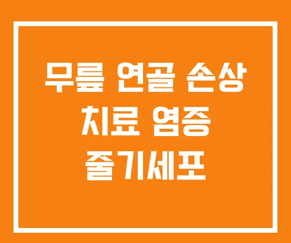 무릎 연골 손상 치료 염증 줄기세포