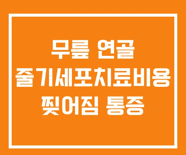 무릎 연골 줄기세포치료비용 찢어짐 통증