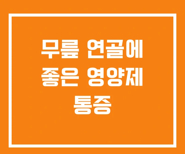 무릎 연골에 좋은 영양제 통증