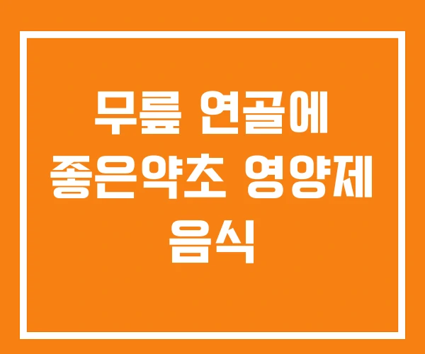무릎 연골에 좋은약초 영양제 음식