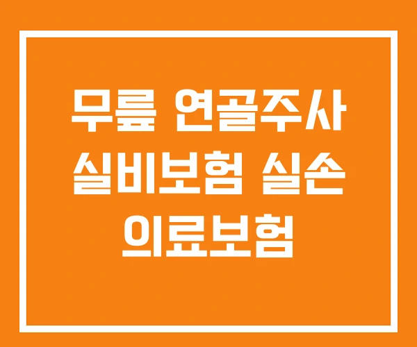무릎 연골주사 실비보험 실손 의료보험 무릎 연골주사 실비보험 실손 의료보험