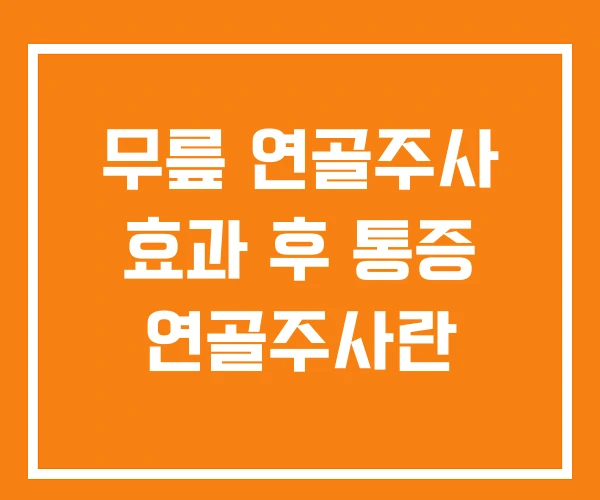무릎 연골주사 효과 후 통증 연골주사란