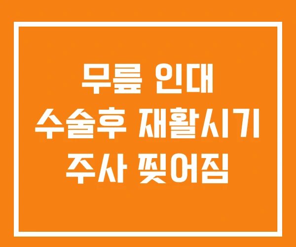 무릎 인대 수술후 재활시기 주사 찢어짐