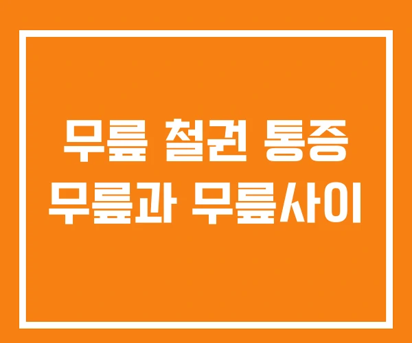 무릎 철권 통증 무릎과 무릎사이