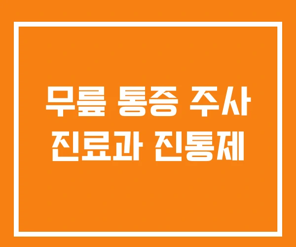 무릎 통증 주사 진료과 진통제