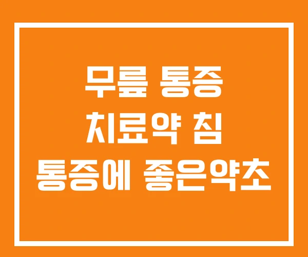 무릎 통증 치료약 침 통증에 좋은약초