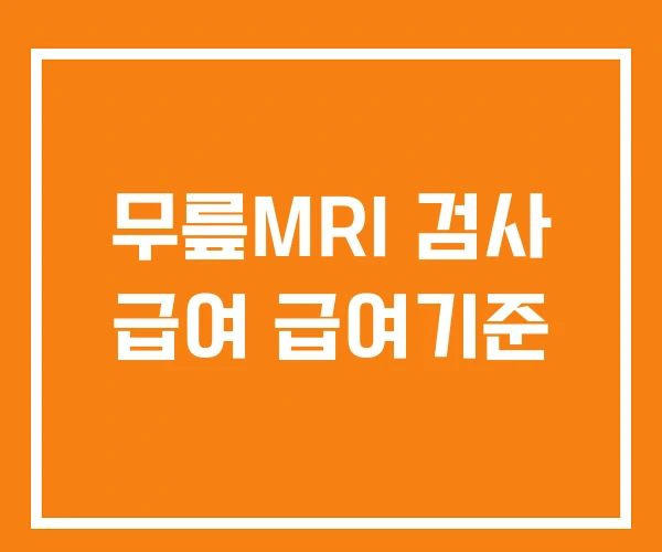 무릎MRI 검사 급여 급여기준
