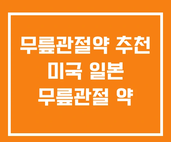 무릎관절약 추천 미국 일본 무릎관절 약