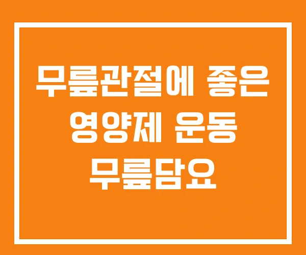 무릎관절에 좋은 영양제 운동 무릎담요