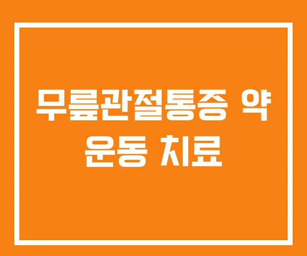 무릎관절통증 약 운동 치료