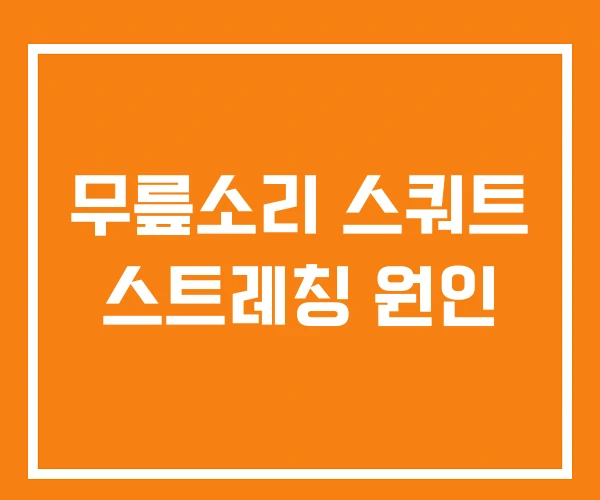 무릎소리 스쿼트 스트레칭 원인