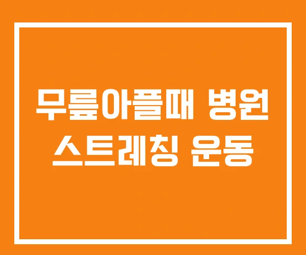 무릎아플때 병원 스트레칭 운동