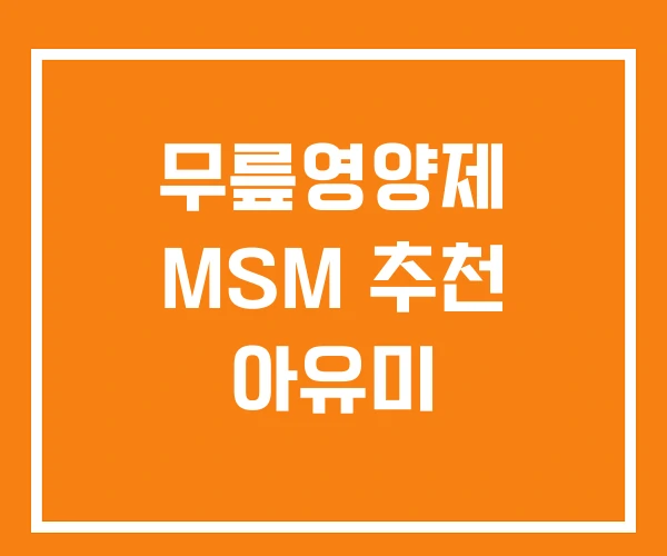 무릎영양제 MSM 추천 아유미