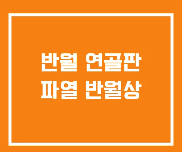 반월 연골판 파열 반월상