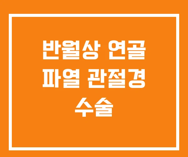 반월상 연골 파열 관절경 수술
